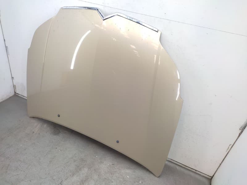 Capot 7901l4  - Citroën C5 Ii (rc_) 2.0 Hdi (rcrhrh) 2