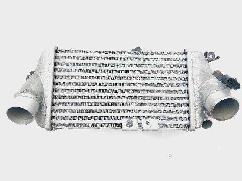Recambio de intercooler para hyundai i20 active tecno referencia OEM IAM 2827004600