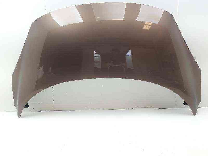 Recambio de capot para renault scenic iii dynamique referencia OEM IAM 651000036R