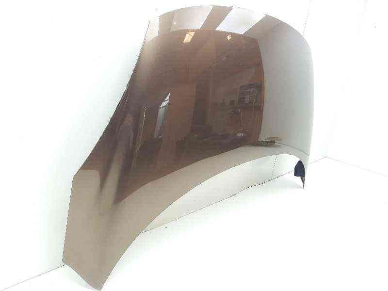 Recambio de capot para renault scenic iii dynamique referencia OEM IAM 651000036R 2