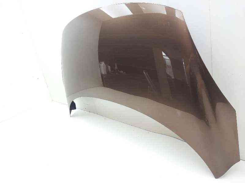 Recambio de capot para renault scenic iii dynamique referencia OEM IAM 651000036R 3