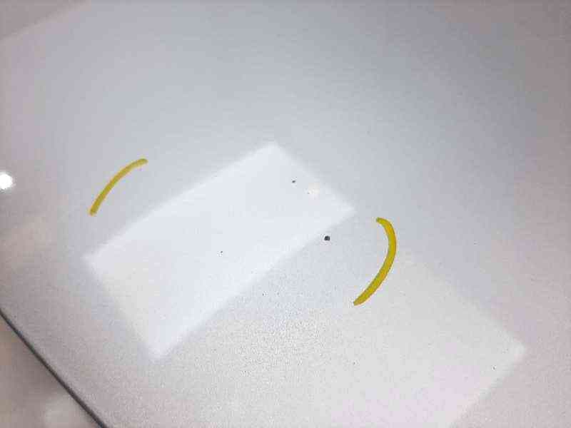 Recambio de capot para renault clio iii expression referencia OEM IAM 2