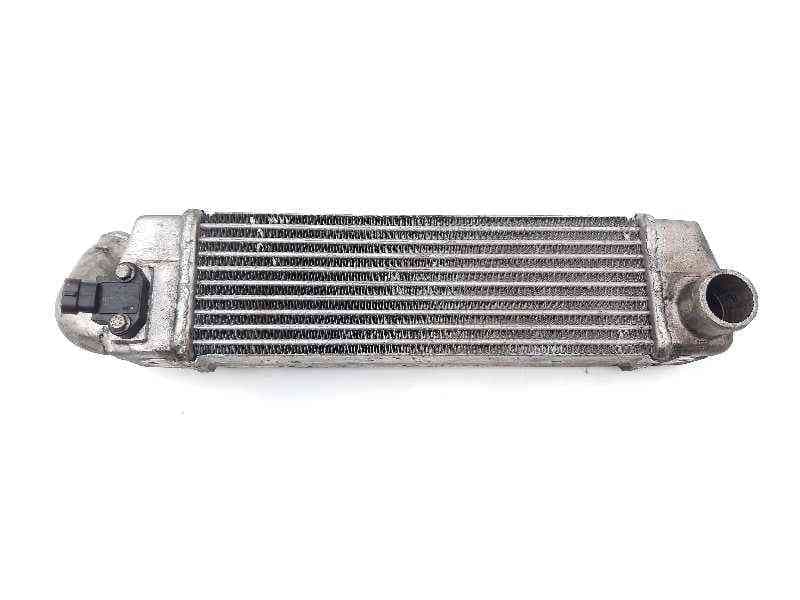 Recambio de intercooler para tata indica 1.4 dlx referencia OEM IAM 279714600102 - Negro