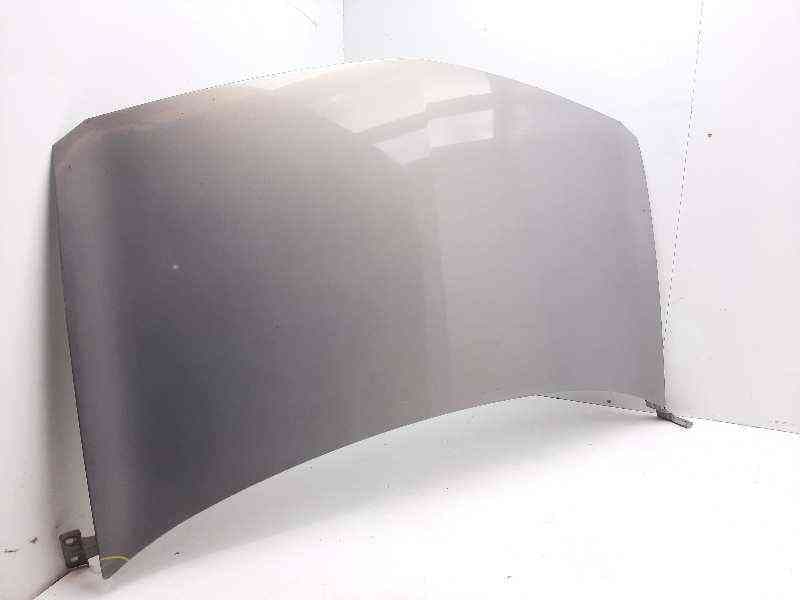 Recambio de capot para renault megane ii familiar authentique referencia OEM IAM - Gris 4