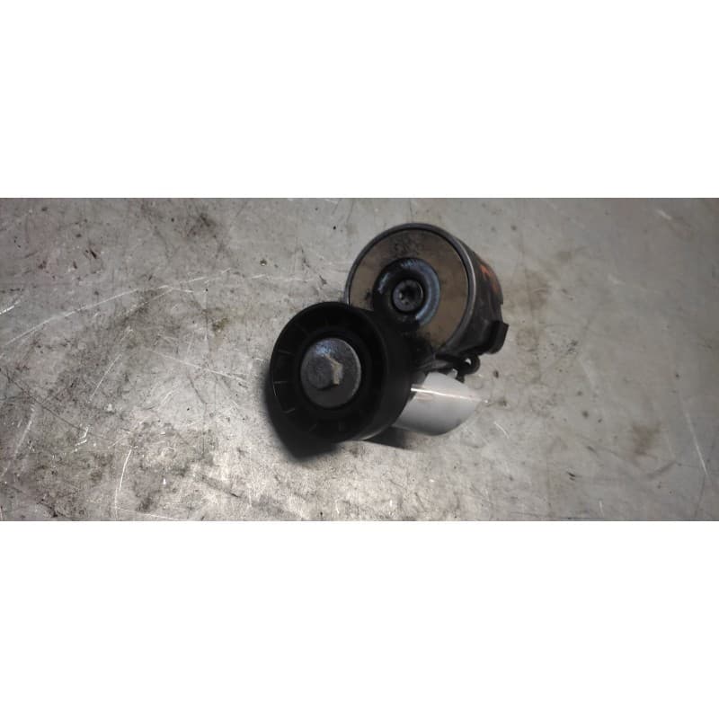 Recambio de tensor correa auxiliar para fiat doblo (119) referencia OEM IAM - Blanco