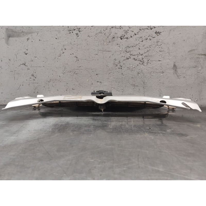Recambio de rejilla delantera para peugeot partner (s1) combispace referencia OEM IAM - Gris 2