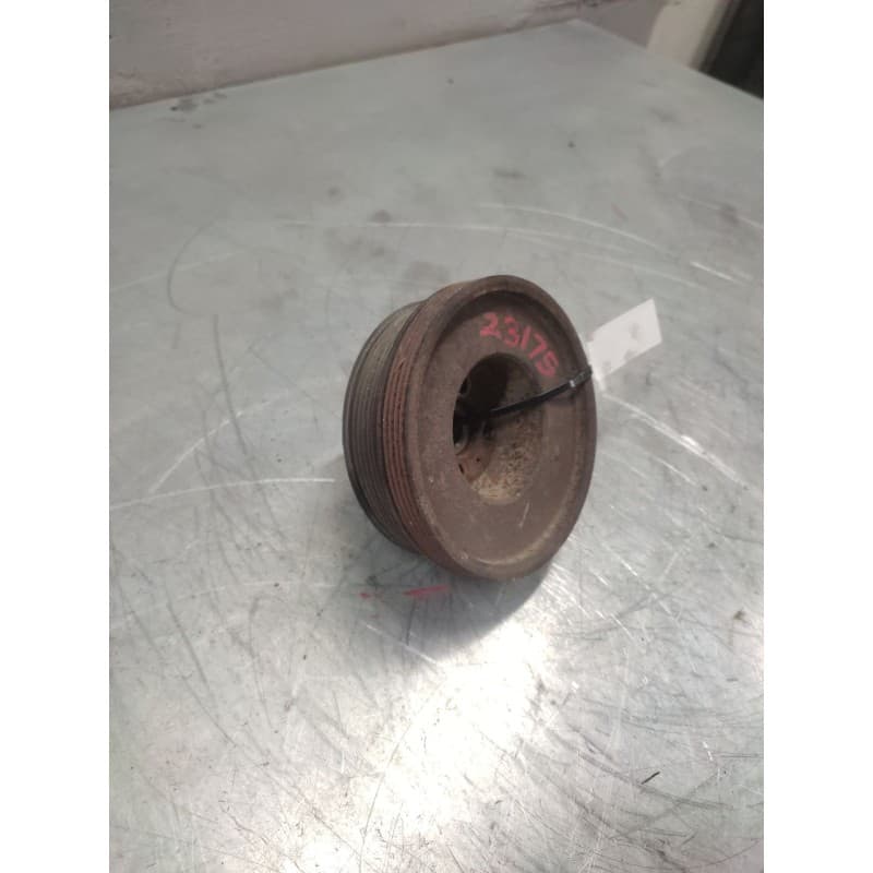 Recambio de polea cigueñal para iveco daily combi 2.3 diesel cat referencia OEM IAM 2