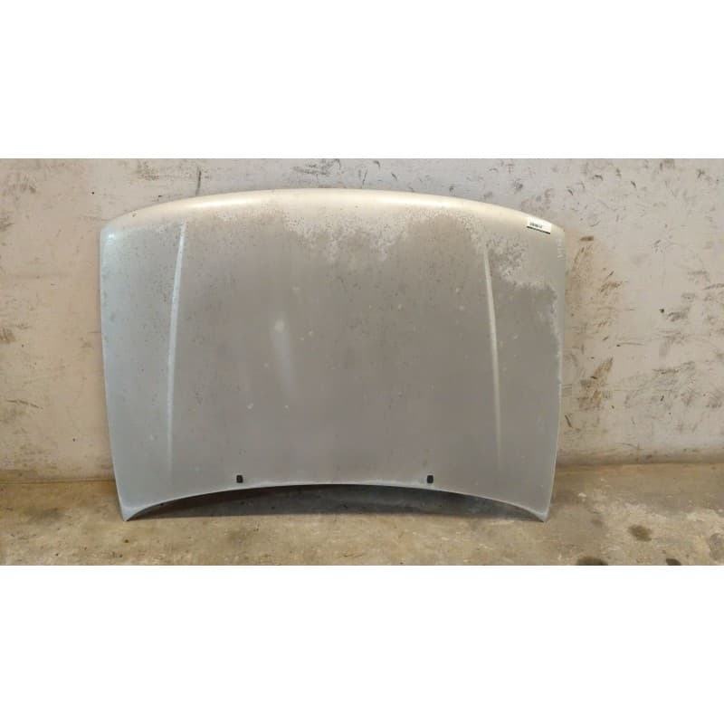 Recambio de capo para volkswagen polo berlina (6n1) básico referencia OEM IAM - Gris