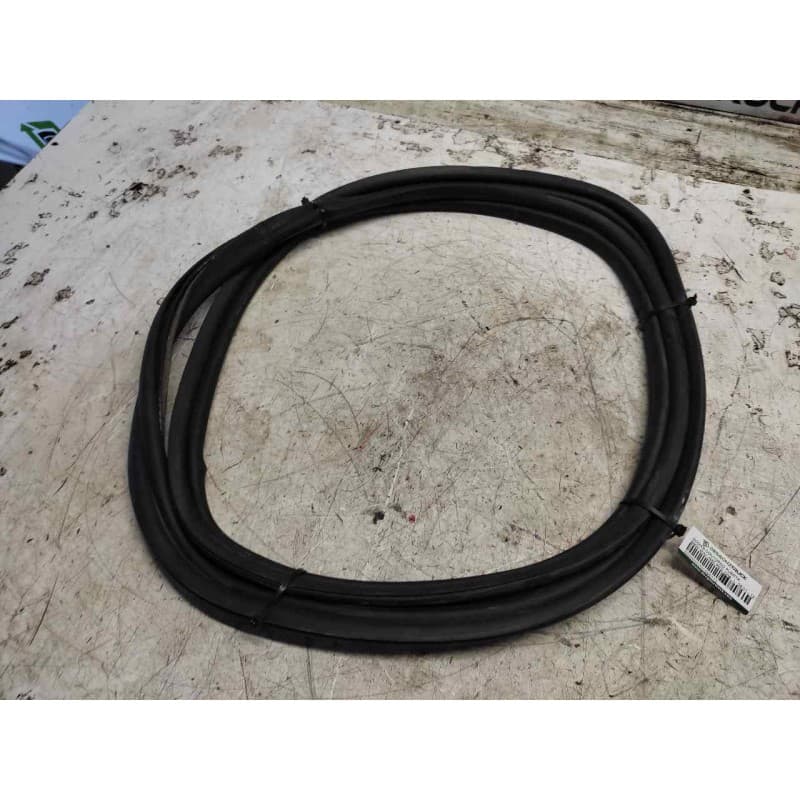 Recambio de gomas contorno puerta para bmw mini (r50,r53) one referencia OEM IAM - Negro