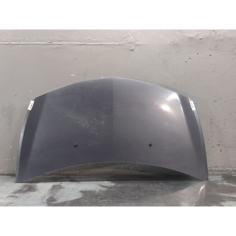 Recambio de capo para renault clio iii confort dynamique referencia OEM IAM - Gris