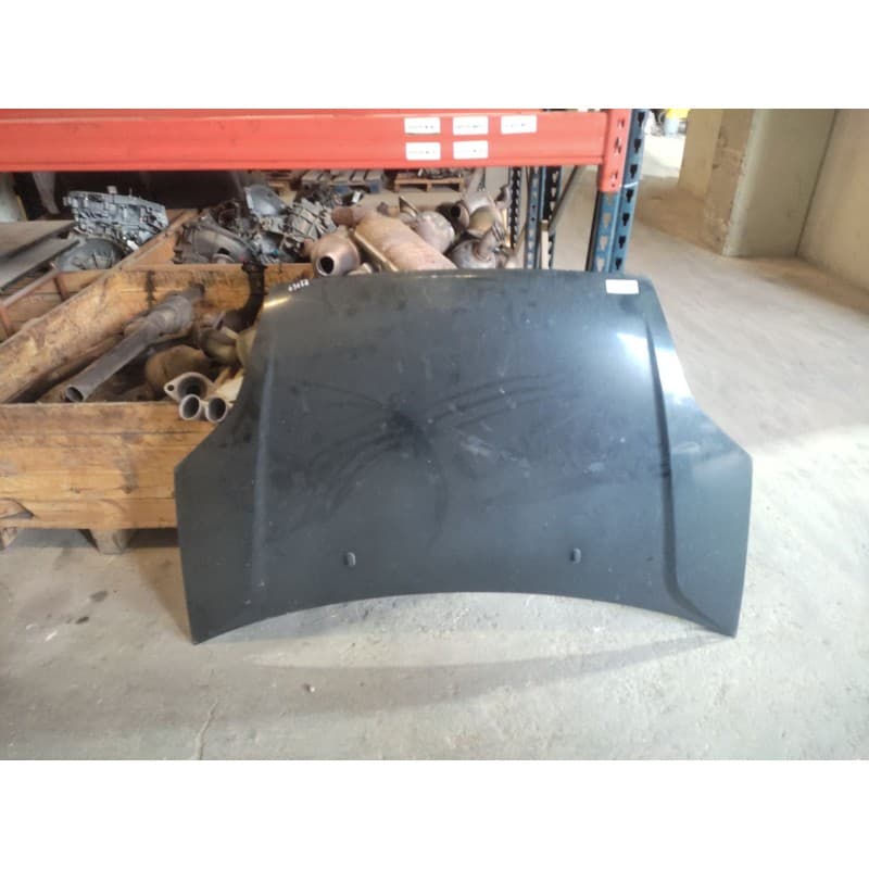 Recambio de capo para ford fiesta (cbk) ambiente referencia OEM IAM - Negro