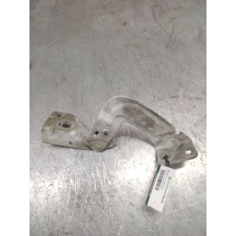 Recambio de bisagra capo izquierda para renault kangoo (f/kc0) alize referencia OEM IAM - Blanco