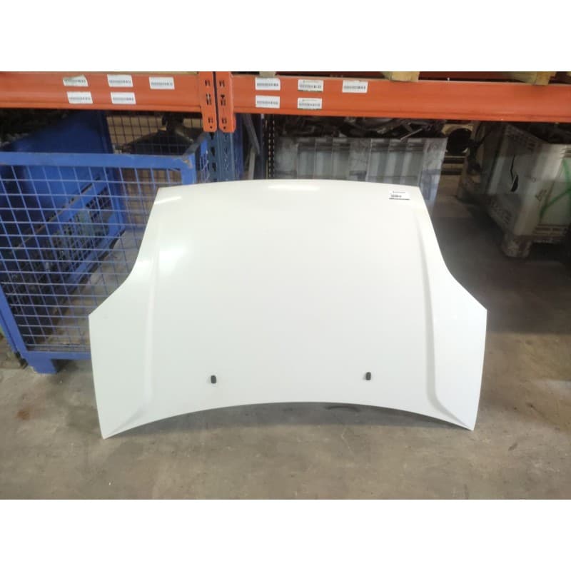 Recambio de capo para ford fiesta (cbk) ambiente referencia OEM IAM - Blanco
