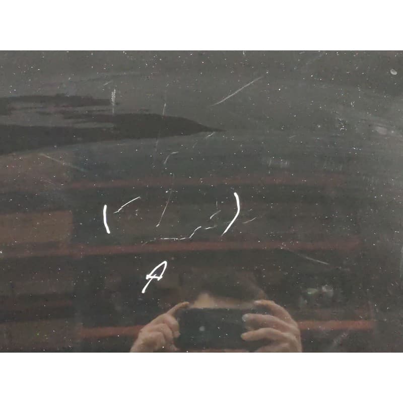 Recambio de capo para citroën c3 1.4 sx plus referencia OEM IAM - Negro 4