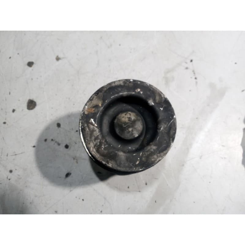 Recambio de piston para renault midlum referencia OEM IAM 7485126579 2
