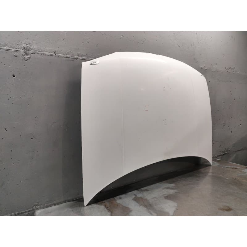 Recambio de capo para volkswagen golf iv (1j1) 1.9 tdi referencia OEM IAM 4