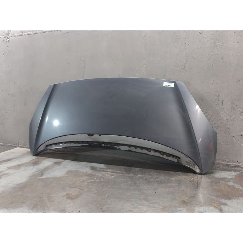 Recambio de capo para peugeot 1007 (km_) 1.6 hdi referencia OEM IAM - Gris 3
