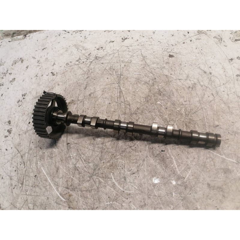 Recambio de arbol de levas para ford puma (cce) 1.4 16v cat referencia OEM IAM