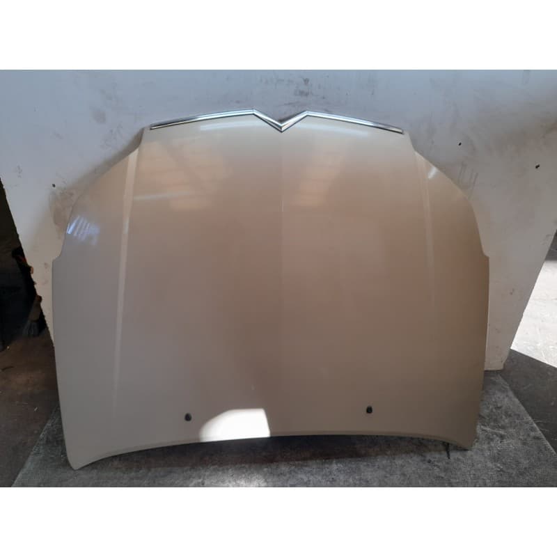 Recambio de capo para citroën c5 berlina collection referencia OEM IAM
