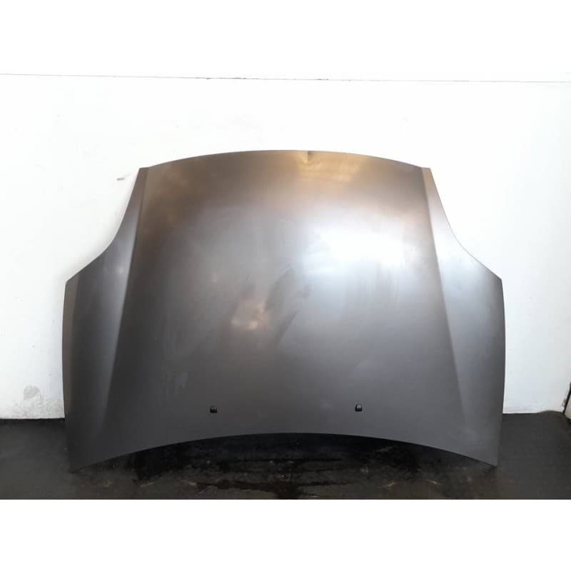 Recambio de capo para fiat bravo (198) 1.9 emotion multijet referencia OEM IAM 2