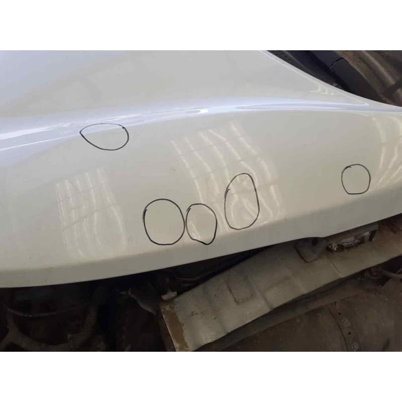 Recambio de capo para kia cee'd business referencia OEM IAM - Blanco 2