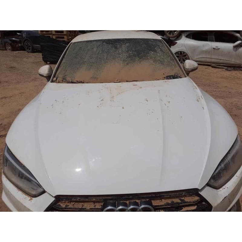 Recambio de capo para audi a5 sportback (f5a) sport referencia OEM IAM - Blanco