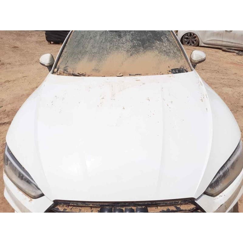 Recambio de capo para audi a5 sportback (f5a) sport referencia OEM IAM - Blanco 3
