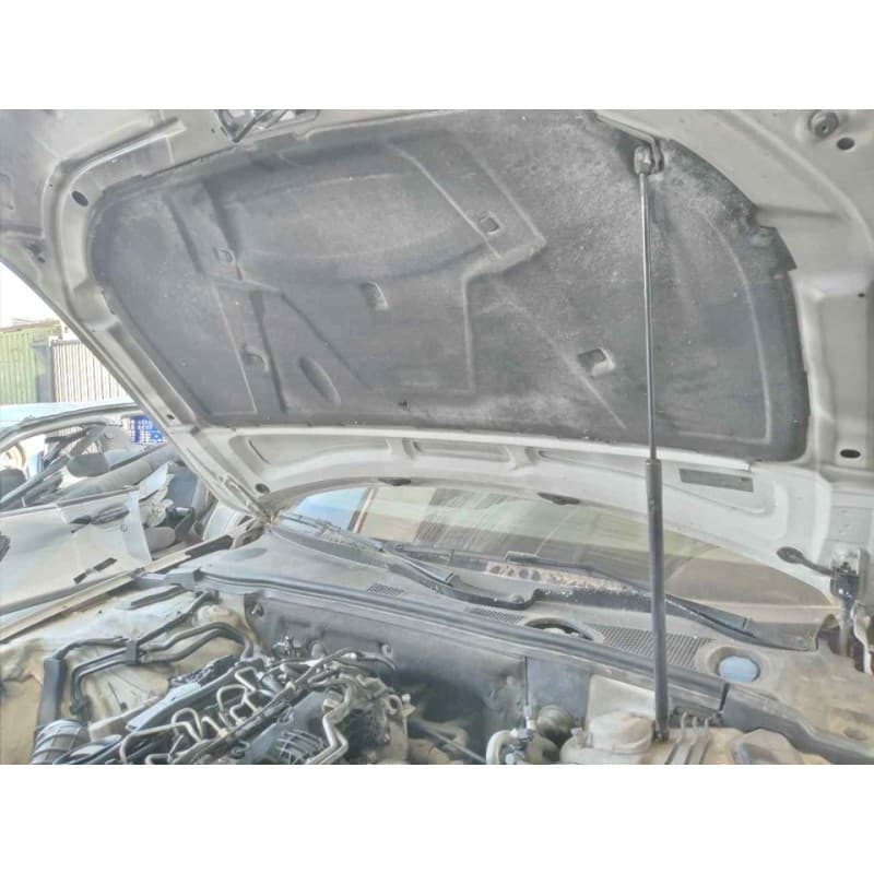 Recambio de amortiguadores capo para audi a4 ber. (b8) e referencia OEM IAM - Blanco