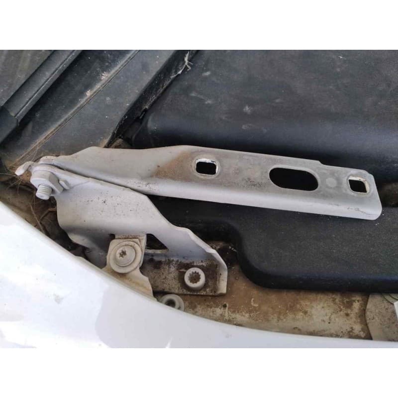 Recambio de bisagra capot derecha para audi a4 ber. (b8) e referencia OEM IAM
