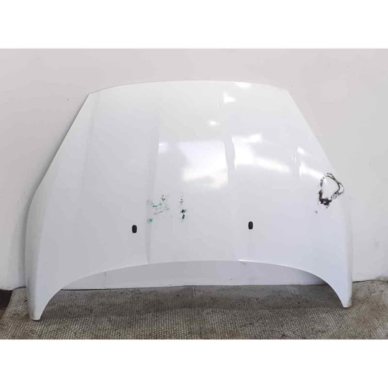 Recambio de capo para ford fiesta (ccn) trend referencia OEM IAM - Blanco