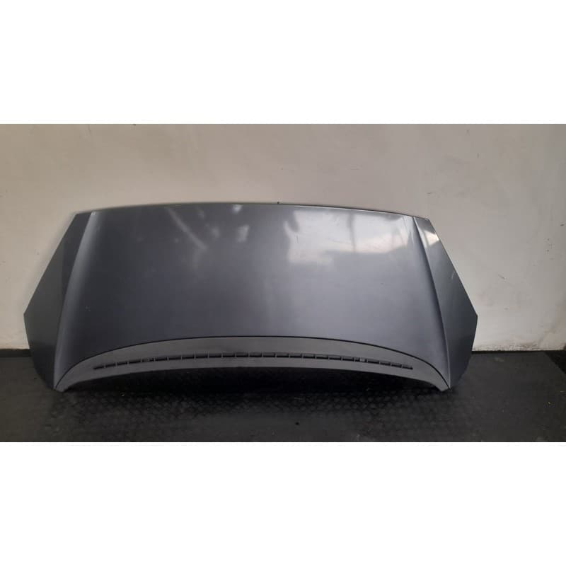 Recambio de capo para peugeot 1007 dolce referencia OEM IAM
