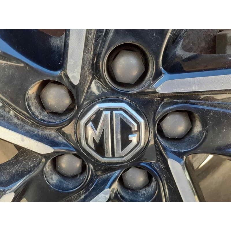 Recambio de puente trasero para mg zs luxury referencia OEM IAM - Blanco