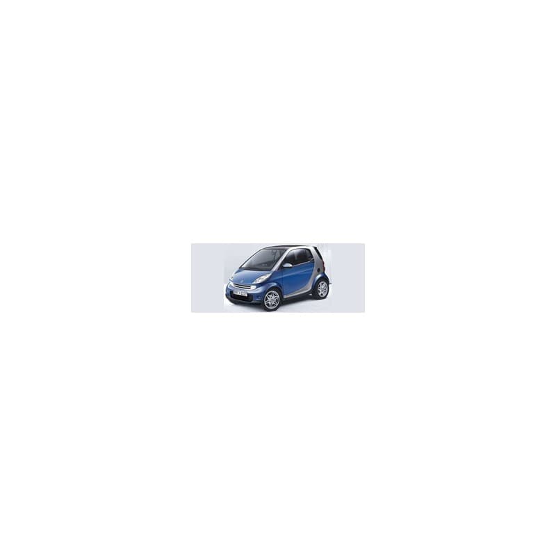 Recambio de intercooler para smart coupe 0.8 cdi cat referencia OEM IAM 3