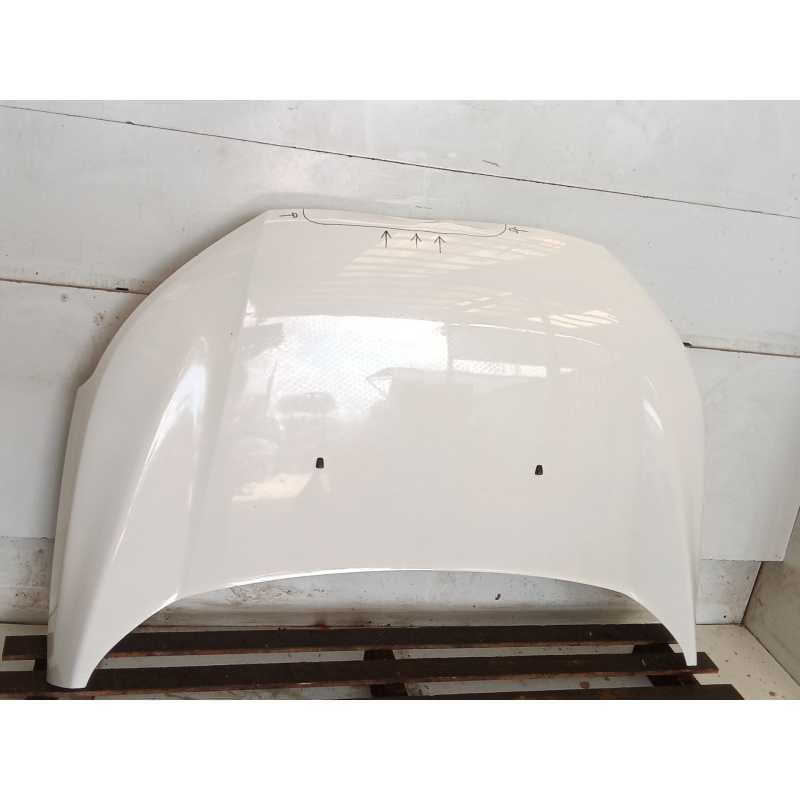 Recambio de capo para ford ecosport 1.0 ecoboost referencia OEM IAM - Blanco
