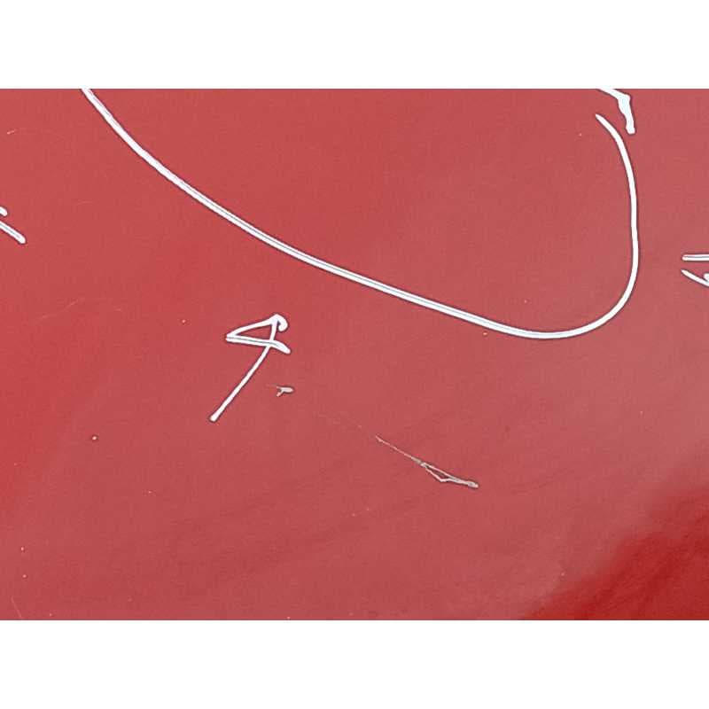 Recambio de capo para seat ibiza iv sc (6j1, 6p5) 1.4 referencia OEM IAM - Rojo 4