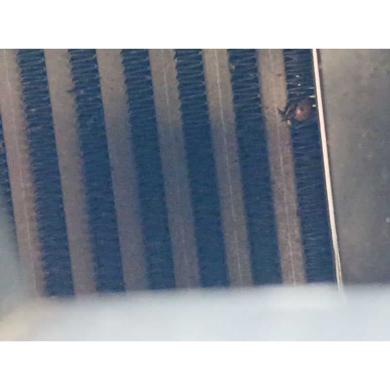 Recambio de intercooler para ford focus iii 1.6 tdci referencia OEM IAM - Azul oscuro