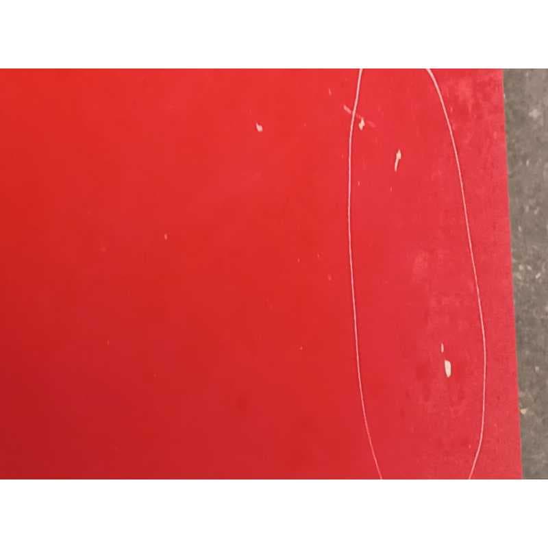 Recambio de capo para seat ibiza (6j5) reference referencia OEM IAM - Rojo 5