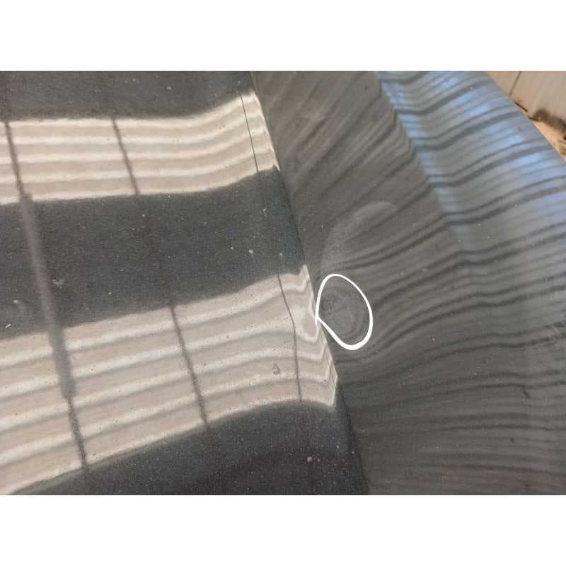 Recambio de capo para bmw x3 (e83) 2.0 d referencia OEM IAM - Negro 3
