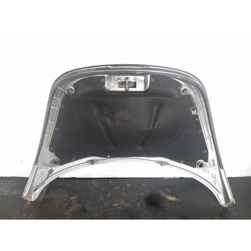 Recambio de capo para volkswagen new beetle (9c1/1c1) 1.9 tdi referencia OEM IAM 2