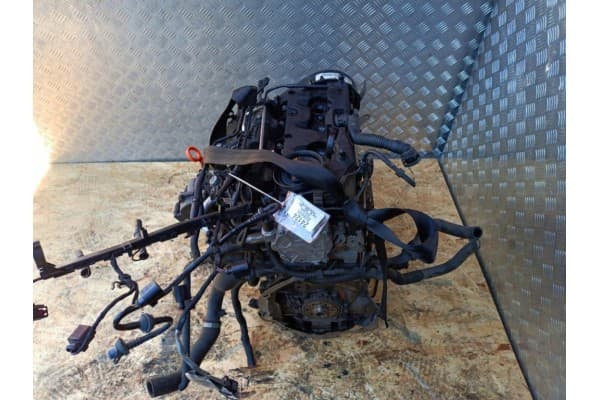 Motor Diésel Audi A3 8P 1.6 TDI Cayc usado