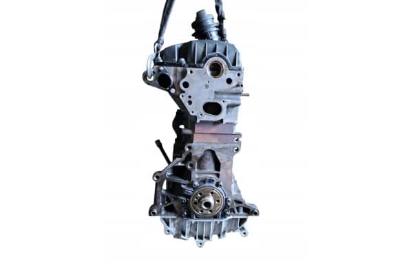 Motor para Seat Toledo Iii (5P) 2008 usado 4