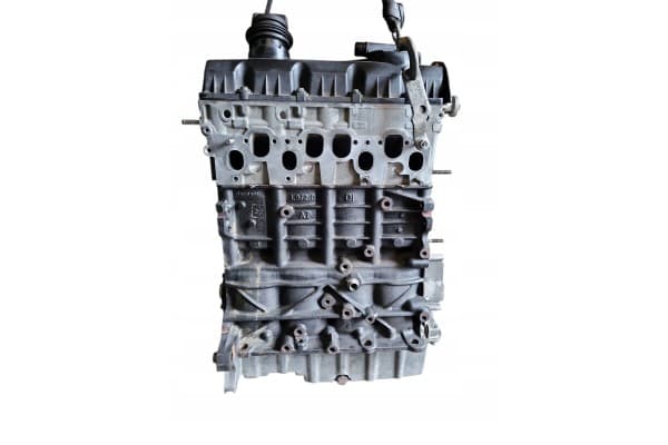 Motor para Seat Toledo Iii (5P) 2008 usado 7