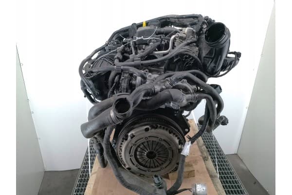 Motor Skoda Rapid 1.0 TSI usado 4