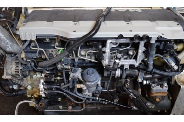 Motor Man Tgx Tga D2066 440 HP Euro 5 usado
