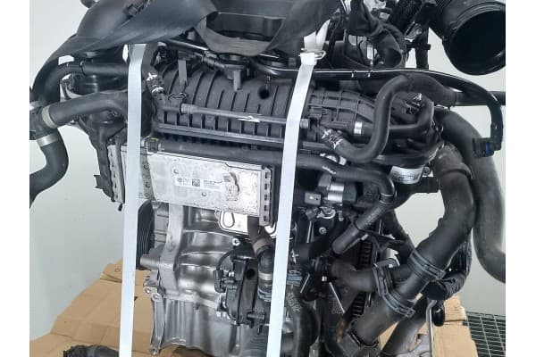 Motor Skoda Rapid 1.0 TSI usado