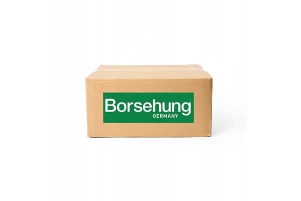 Borsehung B11728 usado