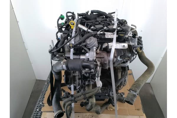 Motor Ford Focus MK4 M1JU 1.0 EcoBoost usado