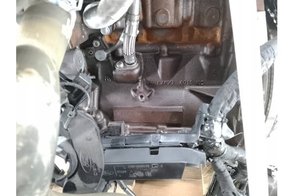 Motor Ford Focus MK4 M1JU 1.0 EcoBoost usado 10