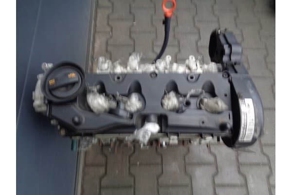 Motor VW Skoda 1.6 TDI Cay sin termostato usado 2