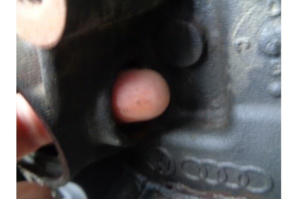 Motor VW Skoda 1.6 TDI Cay sin termostato usado 10